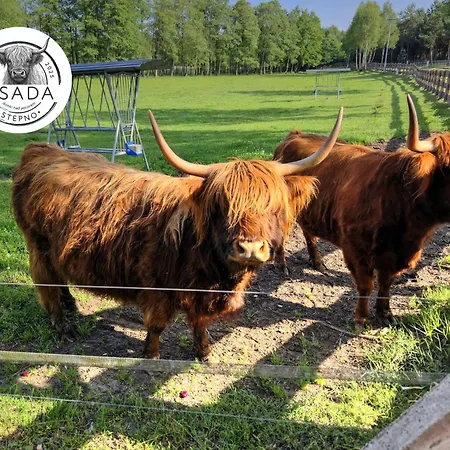 Osada Stepno Stepien (Bialy Bor)