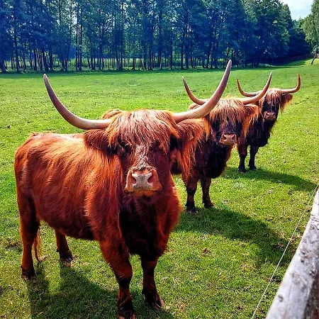 Osada Stepno Σπίτι διακοπών *