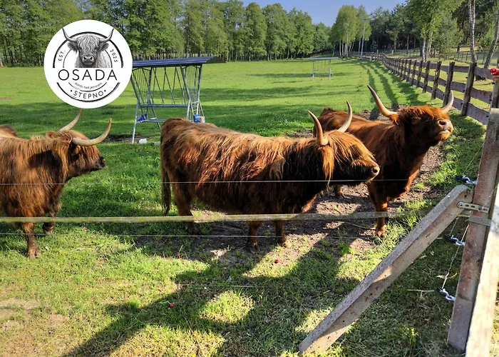 Osada Stepno * Stepien (Bialy Bor)