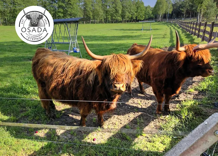 Osada Stepno Stepien (Bialy Bor)